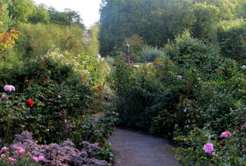 Rosaleda de Hyde Park