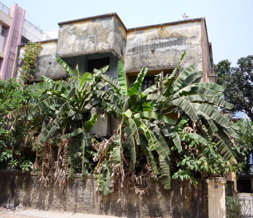 In the neighbourhood