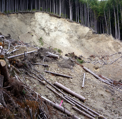 Deslizamiento de tierras a causa de la lluvia